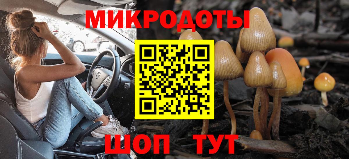 Вязники  Галлюциногенные грибы Psilocybine cubensis  Галлюциногенные грибы мухоморы  Вход с VPN 