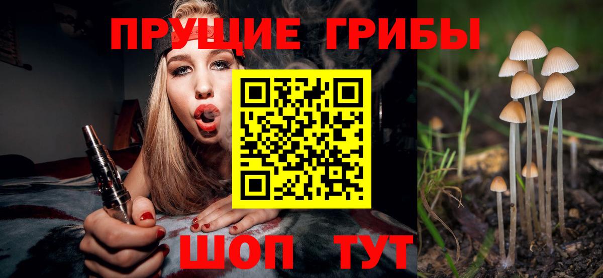 Галлюциногенные грибы ЛСД Вязники